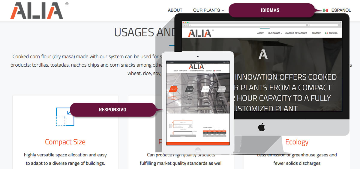 Estrategia de marketing digital Alia 2018 - Monterrey - Slide 2