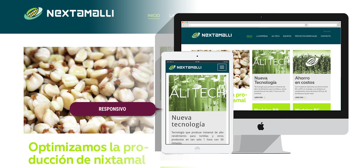 Estrategia de marketing digital Nextamalli 2017 - Monterrey - slide 2