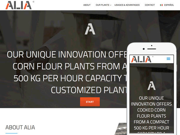 Estrategia de marketing digital Alia 2018 - Monterrey